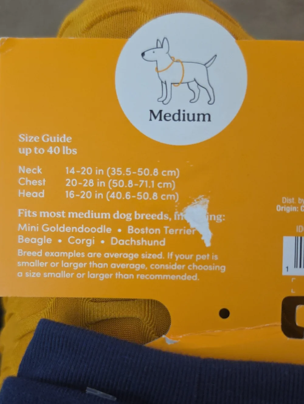 The Cuddle Collab Ellie & Emma Dog & Cat Spread Smiles Graphic Sweatshirt